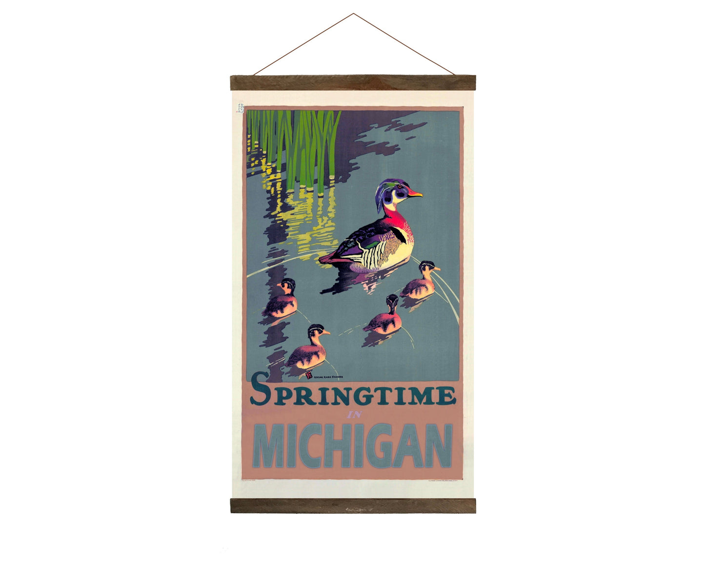 Spring in Michigan, Ducks